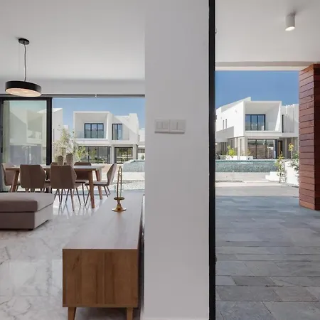 Avalon 1 5 Communal Pool 别墅